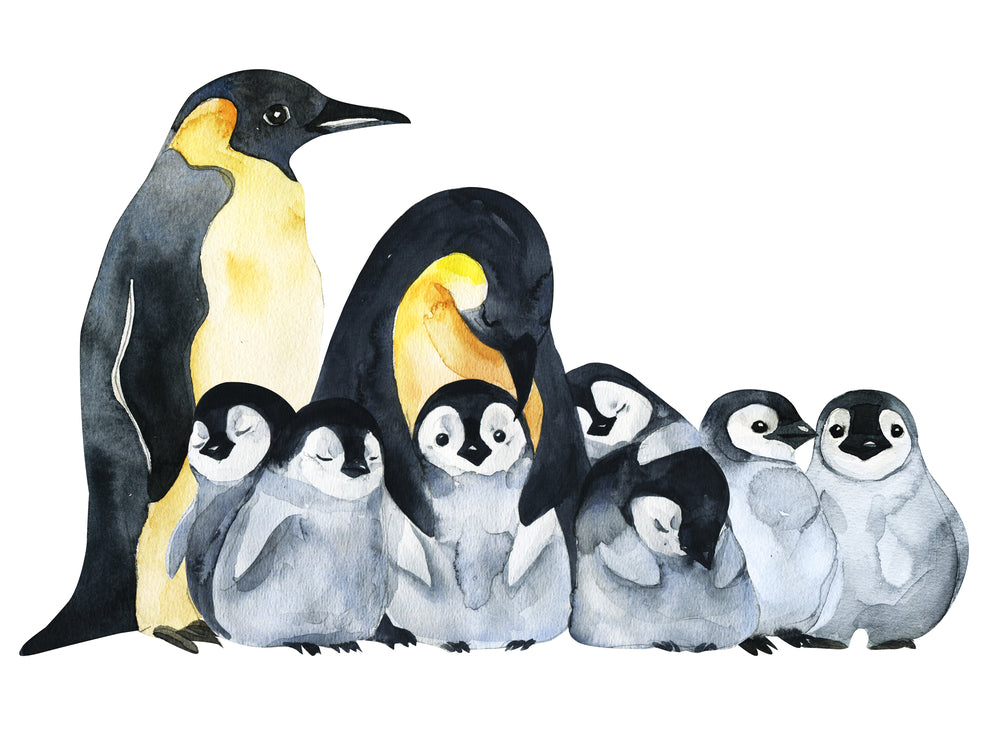 Penguins & Baby Penguins Watercolor Painting Print 100% Australian Made