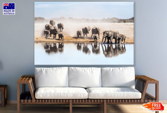 Elephants at a Lake Photograph Print 100% Australian Made