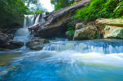 Water Stream in Forest Scenery Photograph Print 100% Australian Made