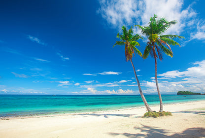 Palm Trees & Sea Scenery Photograph Print 100% Australian Made