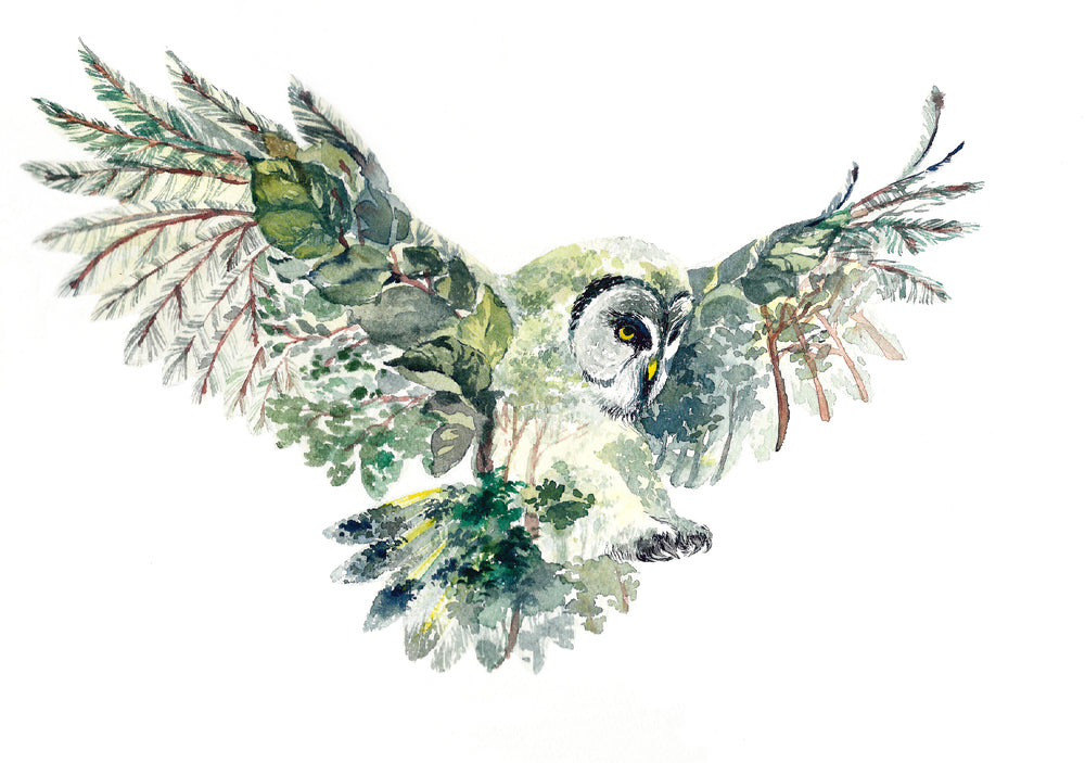 Flying Owl Watercolor Painting Print 100% Australian Made