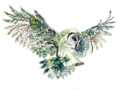 Flying Owl Watercolor Painting Print 100% Australian Made