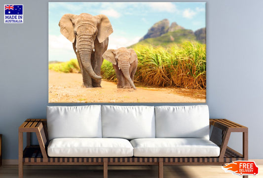 Walking Elephant & Baby Photograph Print 100% Australian Made