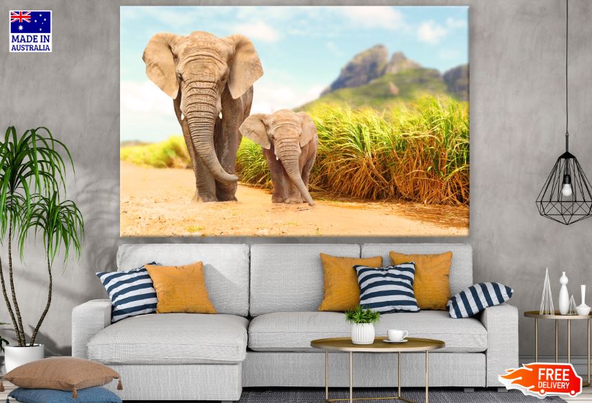 Elephant & Calf Walking on Road Photograph Print 100% Australian Made