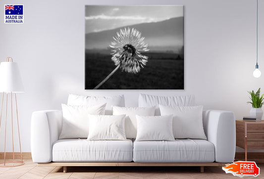 B&W Flower Closeup Photograph Print 100% Australian Made