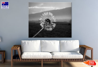 B&W Flower Closeup Photograph Print 100% Australian Made