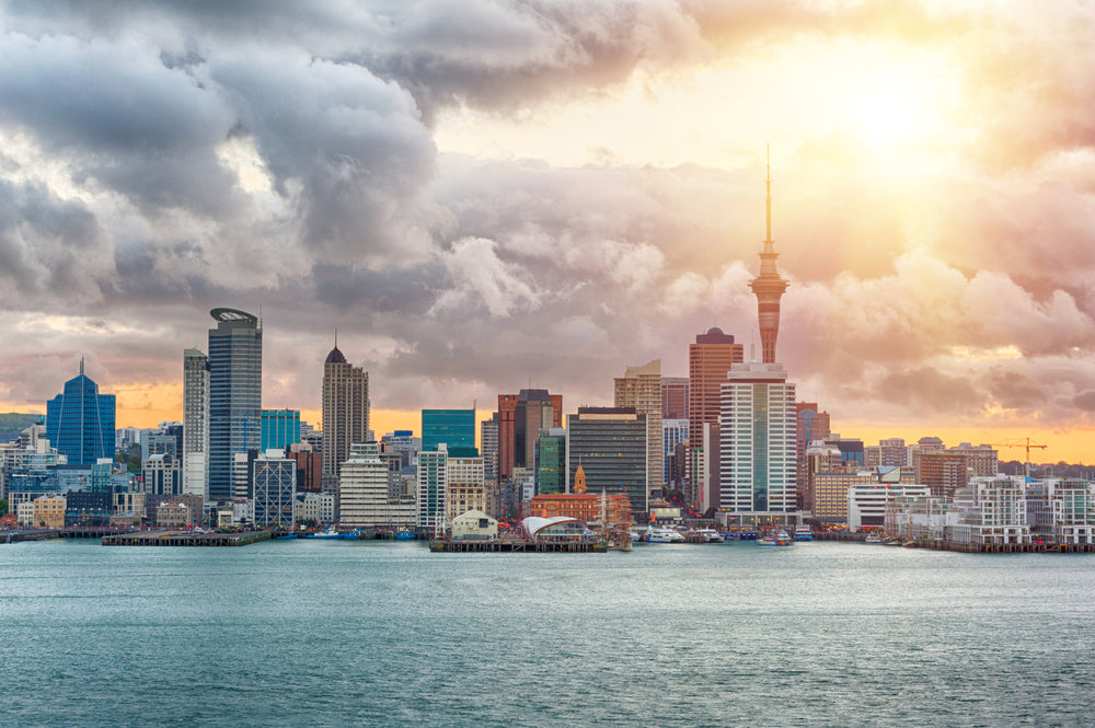 Auckland City View from Beach Print 100% Australian Made