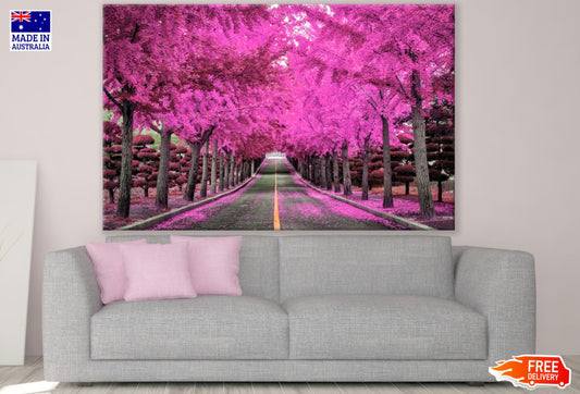 Pink Trees Road Photograph Print 100% Australian Made