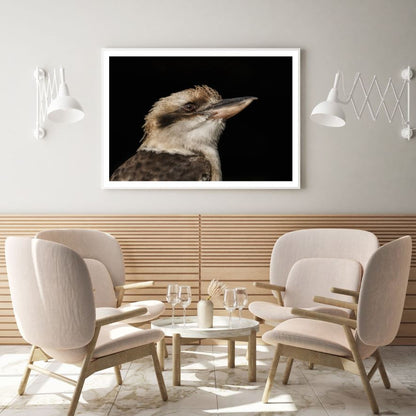 Kookaburra Bird Photograph Home Decor Premium Quality Poster Print Choose Your Sizes