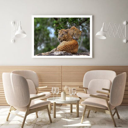 Leopards on Rock Photograph Home Decor Premium Quality Poster Print Choose Your Sizes