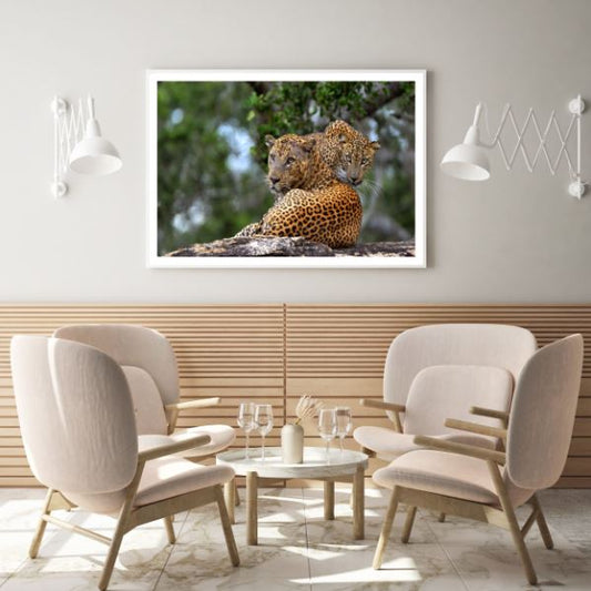 Leopards on Rock Photograph Home Decor Premium Quality Poster Print Choose Your Sizes