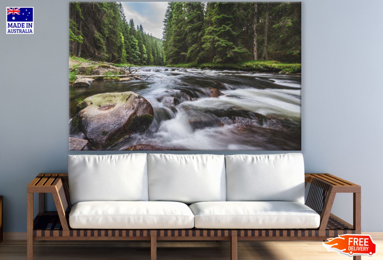 Waterstream in Forest Photograph Print 100% Australian Made