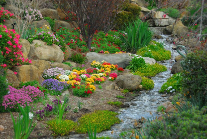 Flowers Along the Waterstream Print 100% Australian Made