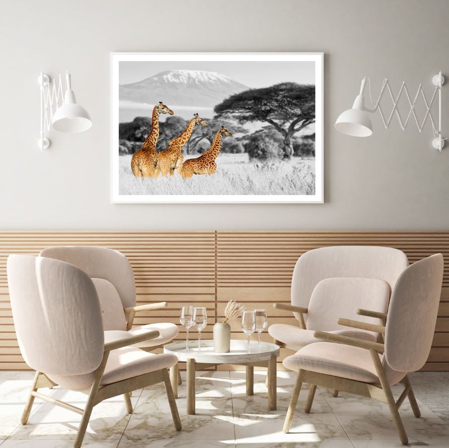 Giraffes on Field B&W Photograph Home Decor Premium Quality Poster Print Choose Your Sizes