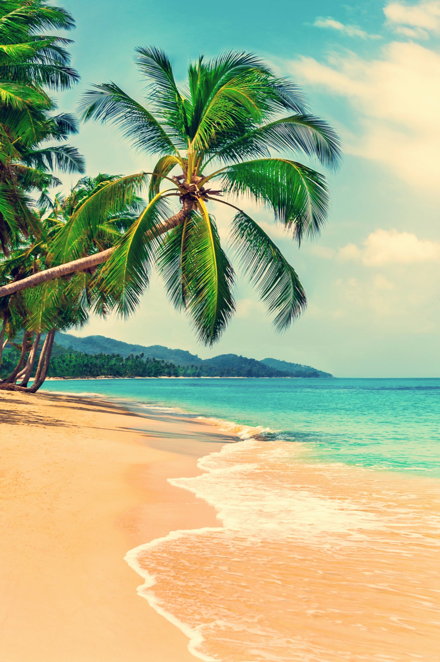Sea Shore Scenery Photograph Home Decor Premium Quality Poster Print Choose Your Sizes