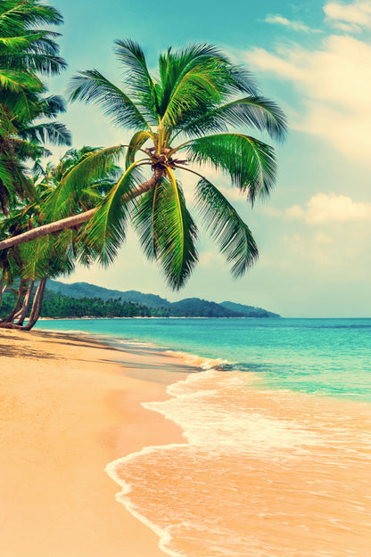 Sea Shore Scenery Photograph Home Decor Premium Quality Poster Print Choose Your Sizes