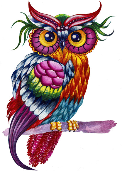 Colourful Owl Painting Print 100% Australian Made