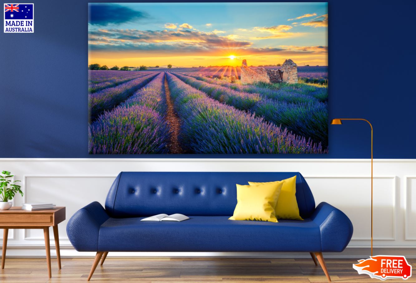 Lavender Field at Sunset Photograph Print 100% Australian Made
