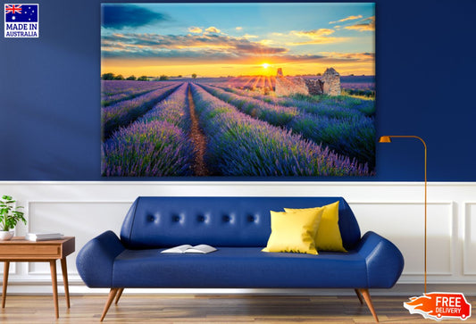 Lavender Field at Sunset Photograph Print 100% Australian Made
