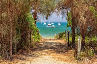 Sea view through Vines Photograph Print 100% Australian Made