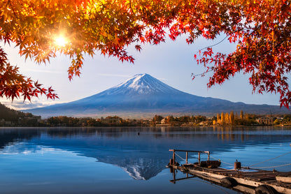 Mount Fuji, Lake & Autumn Tree Photograph Print 100% Australian Made