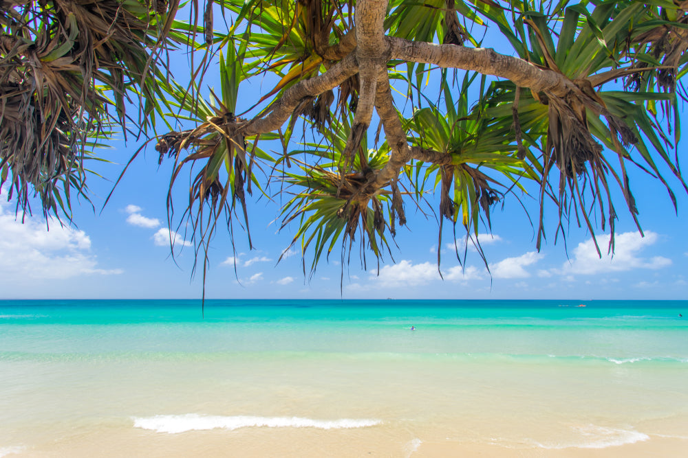 Stunning Sea Scenery Photograph Print 100% Australian Made