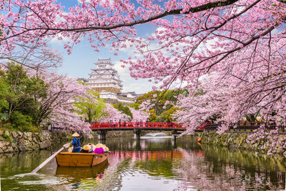 Canal Between Cherry Blossom Trees Japan Landscape Print 100% Australian Made