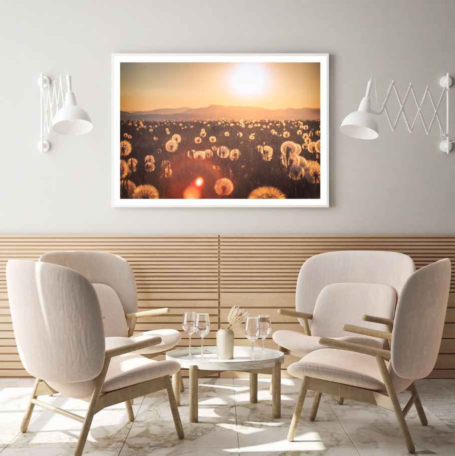 Dandelion Field Sunset Scenery Home Decor Premium Quality Poster Print Choose Your Sizes