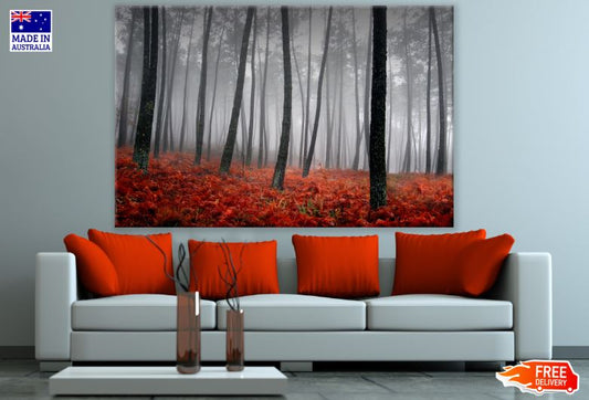 Misty Autumn Tree Photograph Print 100% Australian Made