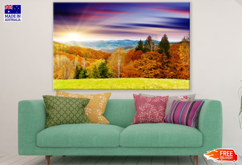 Autumn Forest Scenery Photograph Print 100% Australian Made