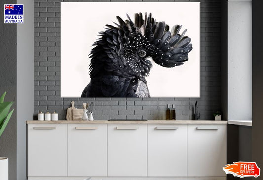 Red-tailed Black Cockatoo Bird Portrait Photograph Print 100% Australian Made