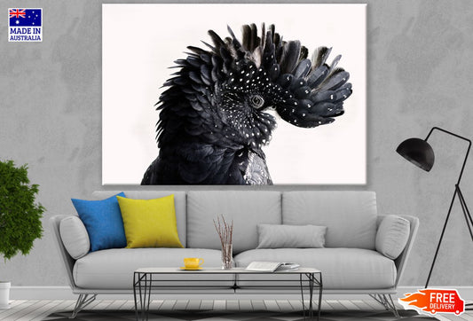 Black Bird Portrait Photograph Print 100% Australian Made