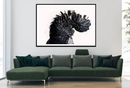 Black Bird Portrait Photograph Home Decor Premium Quality Poster Print Choose Your Sizes