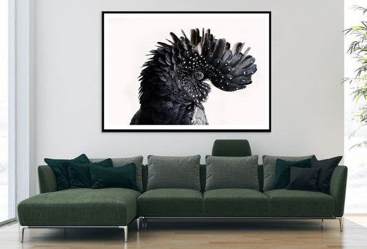 Black Bird Portrait Photograph Home Decor Premium Quality Poster Print Choose Your Sizes
