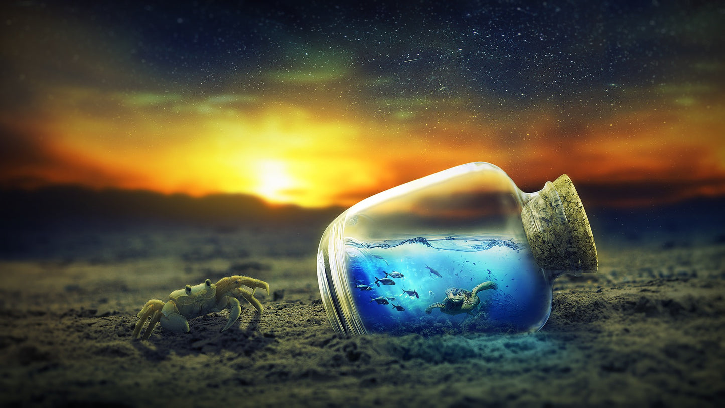 Crab & Bottle with Sea Digital Print 100% Australian Made