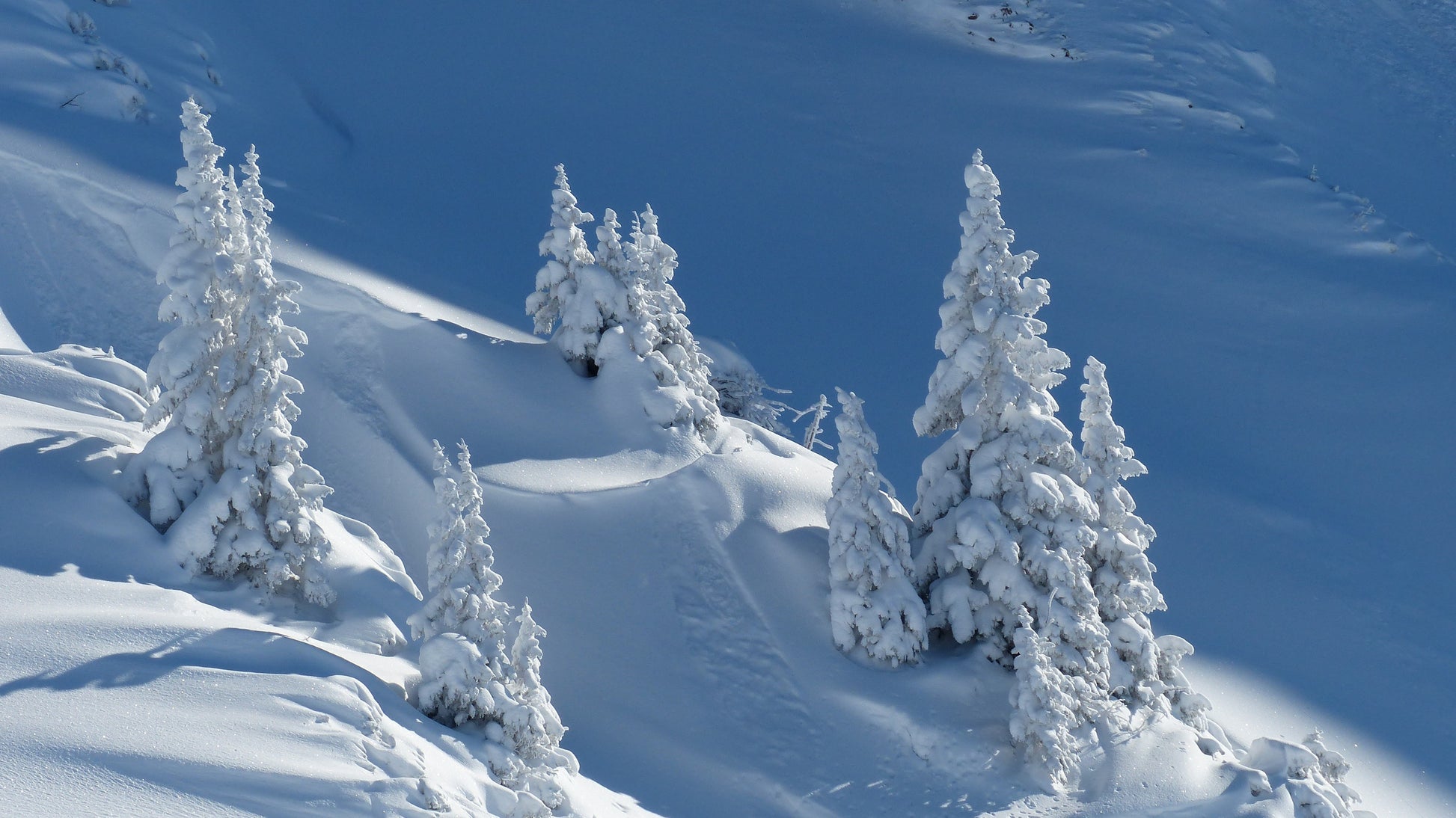 Trees on Mountain Covered with Snow Scenery Photograph Print 100% Australian Made