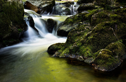 Waterfall in Forest Photograph Print 100% Australian Made