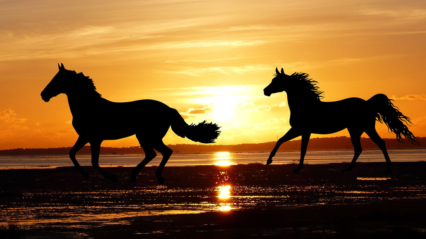 Horses Running on Beach Sunset Print 100% Australian Made