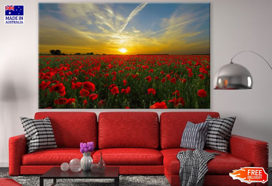 Red Tulip Flowers Field Sunset Scenery Photograph Print 100% Australian Made
