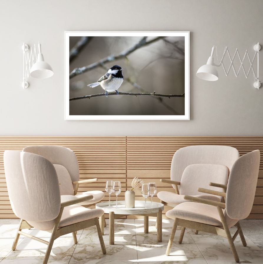 Bird on a Tree Closeup Photograph Home Decor Premium Quality Poster Print Choose Your Sizes