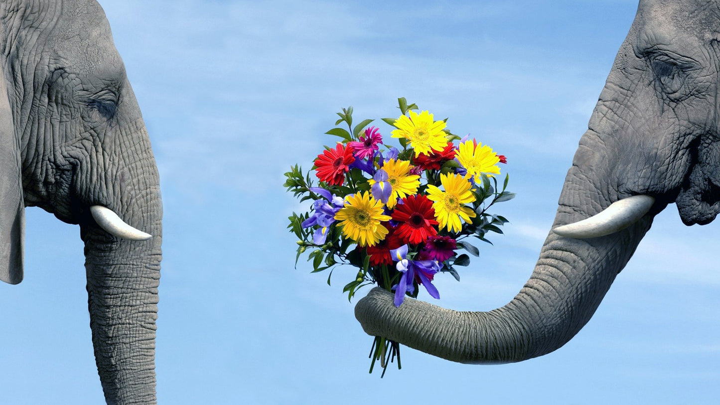 Elephants & Flower Bouquet View Home Decor Premium Quality Poster Print Choose Your Sizes