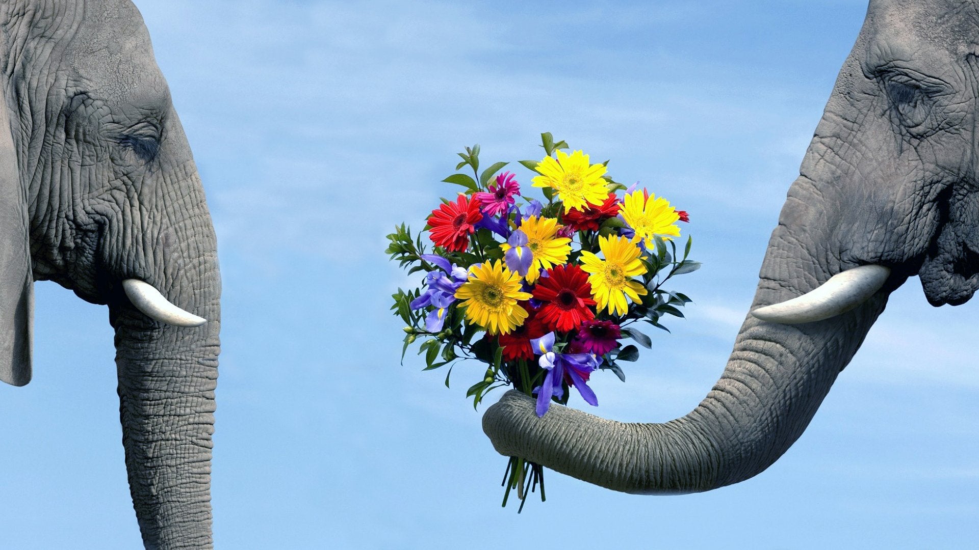 Elephants & Flower Bouquet View Home Decor Premium Quality Poster Print Choose Your Sizes
