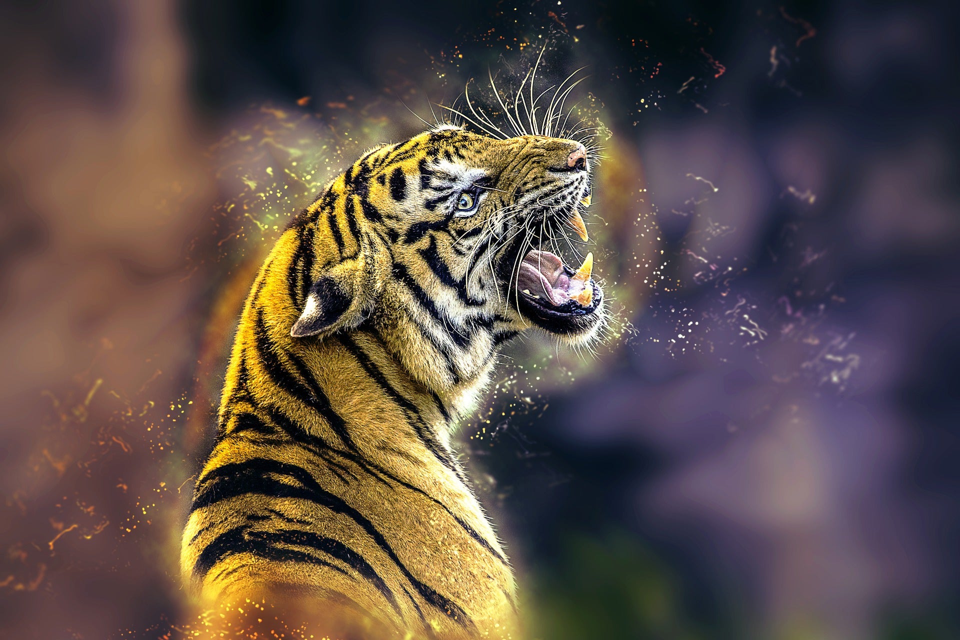 Copy of Tiger Roaring Painting Print 100% Australian Made