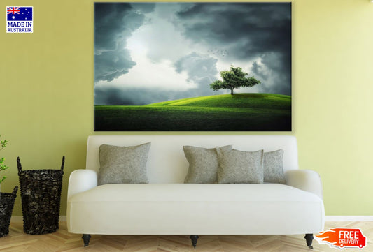 Tree on Meadow Scenery Photograph Print 100% Australian Made