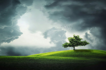 Tree on Meadow & Sky Scenery View Photograph Print 100% Australian Made