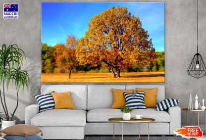 Autumn Trees Forest Scenery Photograph Print 100% Australian Made