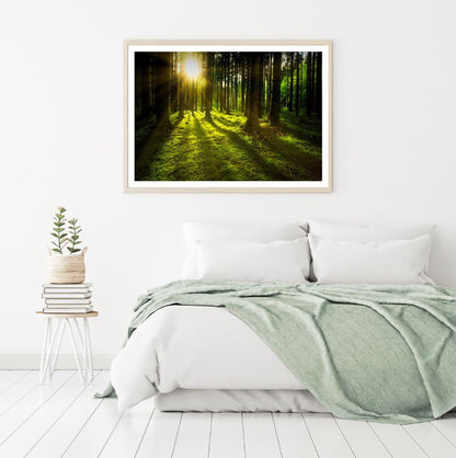 Forest Sunrays Scenery Photograph Home Decor Premium Quality Poster Print Choose Your Sizes