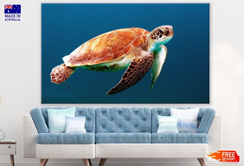 Turtle Underwater Photograph Print 100% Australian Made