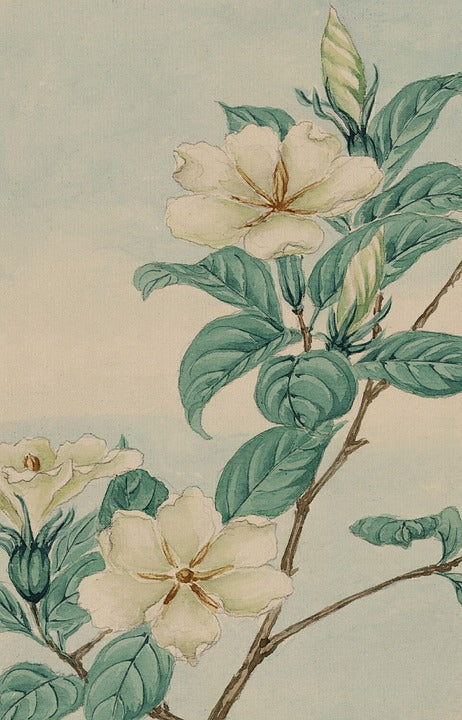 Flowers Watercolor Painting View Print 100% Australian Made