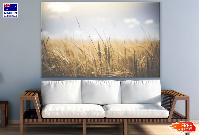 Misty Grass Field Photograph Print 100% Australian Made
